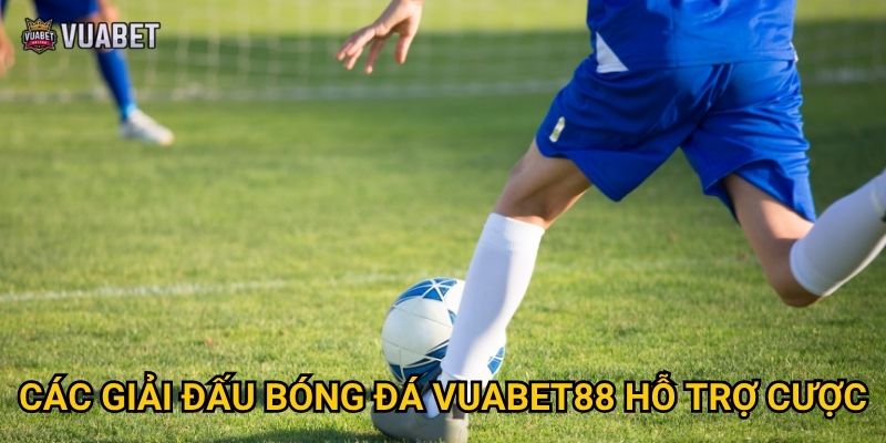 Các giải đấu bóng đá Vuabet88 hỗ trợ cược