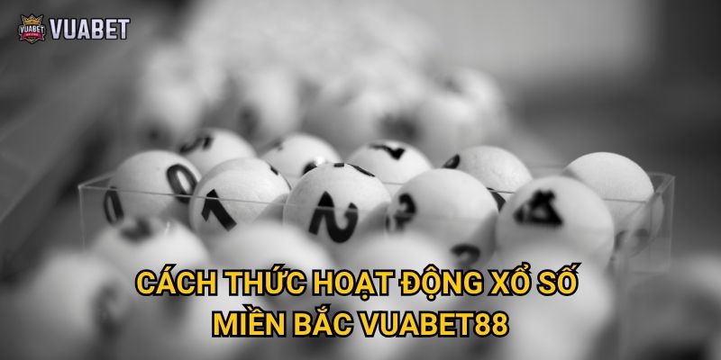 Chơi xổ số miền Bắc tại Vuabet88 có tỷ lệ thắng cao không? 2 Cách thức hoạt động xổ số miền Bắc Vuabet88