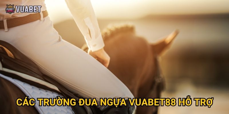 Cược đua ngựa tại Vuabet88 có uy tín và minh bạch không? 7 Cược đua ngựa tại Vuabet88 có uy tín và minh bạch không?